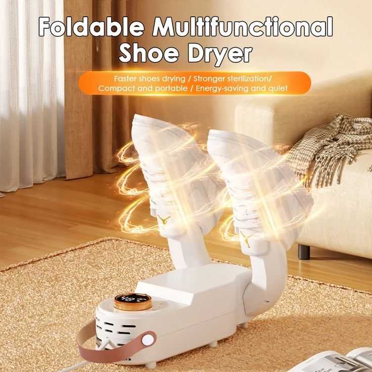 Inteligent Electric Shoe Dryer Machine