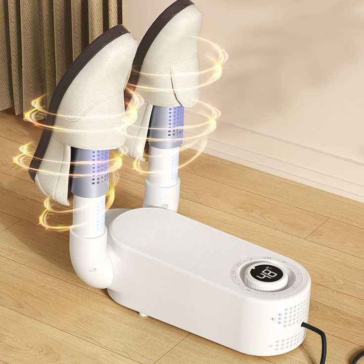 Inteligent Electric Shoe Dryer Machine